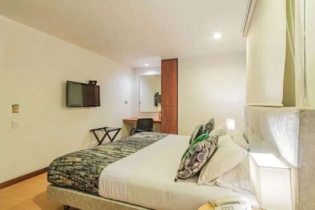 Standard Tek Büyük Yataklı Oda, 1 Çift Kişilik Yatak