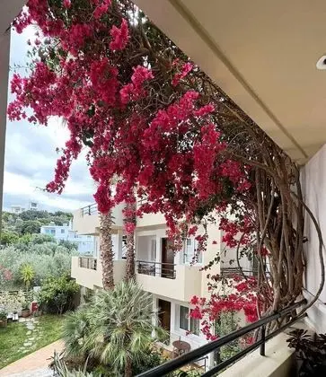 Üç Kişilik Oda