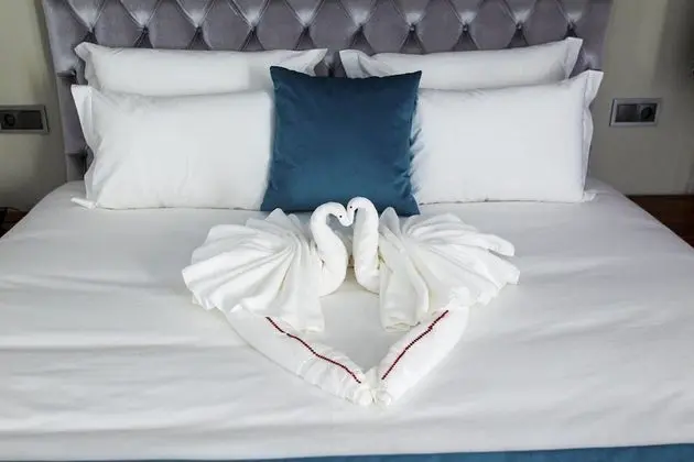 Deluxe Tek Büyük veya İki Ayrı Yataklı Oda