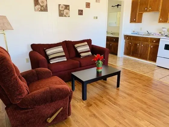 Comfort Süit, 1 Büyük (Queen) Boy Yatak ve Çekyat, Mutfak