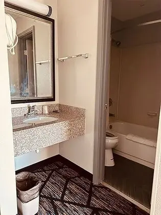 Standard Oda, 1 En Büyük (King) Boy Yatak, Sigara İçilmez