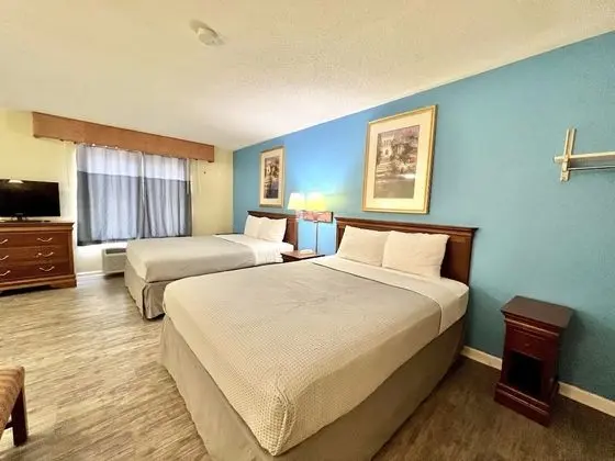 Standard Oda, Birden Çok Yatak, Sigara İçilmez