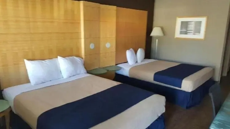 Deluxe Oda, 2 Çift Kişilik Yatak, Sigara İçilebilir