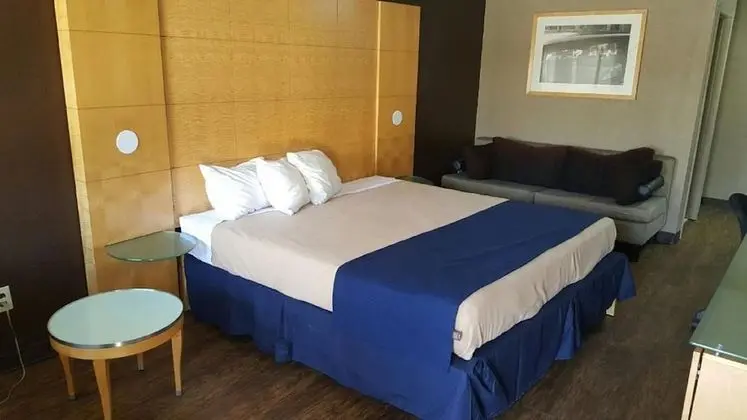 Standard Oda, 1 En Büyük (King) Boy Yatak, Sigara İçilmez