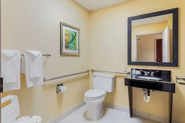 Oda, 1 En Büyük (King) Boy Yatak, Engellilere Uygun, Sigara İçilmez (Roll-In Shower)