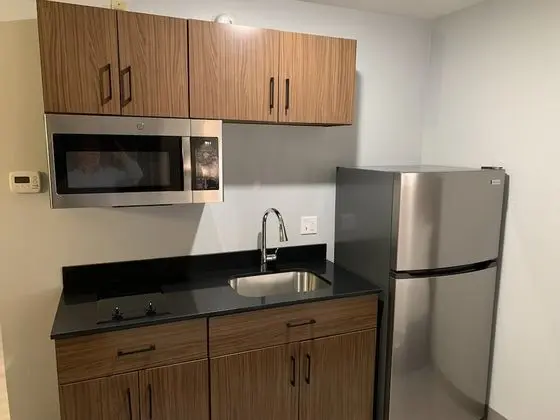 Stüdyo, 1 En Büyük (King) Boy Yatak, Sigara İçilmez (2 Rooms)