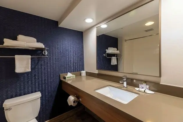 Oda, 1 En Büyük (King) Boy Yatak (Mobility/Hearing Access, Roll-In Shwr)