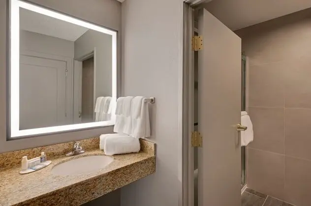 Executive Oda, 1 En Büyük (King) Boy Yatak ve Çekyat, Balkon (Mobility/Hearing Access, Roll-In Shwr)