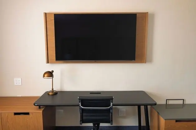 Televizyon