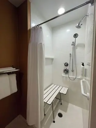 Oda, 1 En Büyük (King) Boy Yatak (Mobility Accessible, Roll-In Shower)