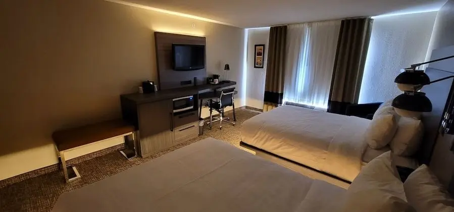 Tek Büyük Yataklı Oda, 2 Büyük (Queen) Boy Yatak, Engellilere Uygun, Sigara İçilmez (Accessible Tub)