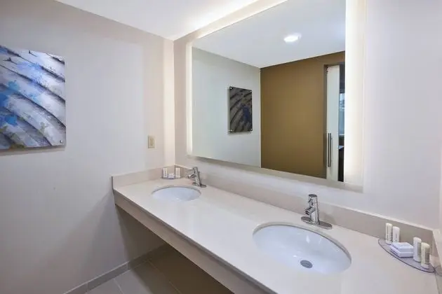 Süit, 1 En Büyük (King) Boy Yatak ve Çekyat (Mobility Accessible, Tub)