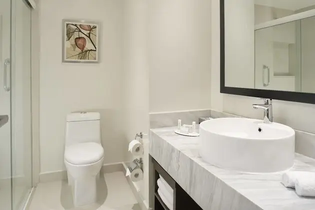 Stüdyo, 1 En Büyük (King) Boy Yatak, Şehir Manzaralı
