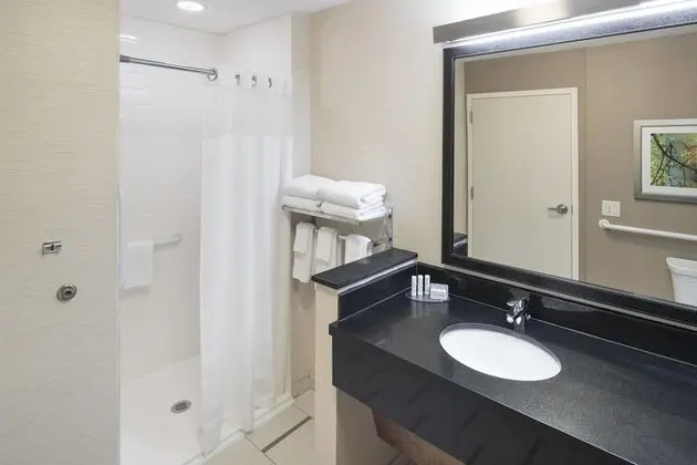 Süit, 1 En Büyük (King) Boy Yatak ve Çekyat (Mobility Accessible, Roll-In Shower)