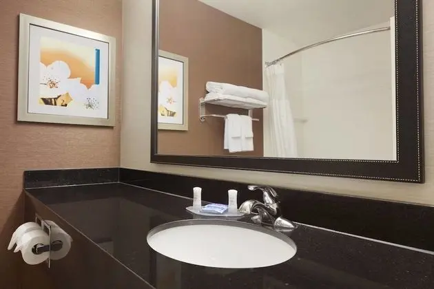 Executive Süit, 1 En Büyük (King) Boy Yatak ve Çekyat (Mobility Accessible, Tub)