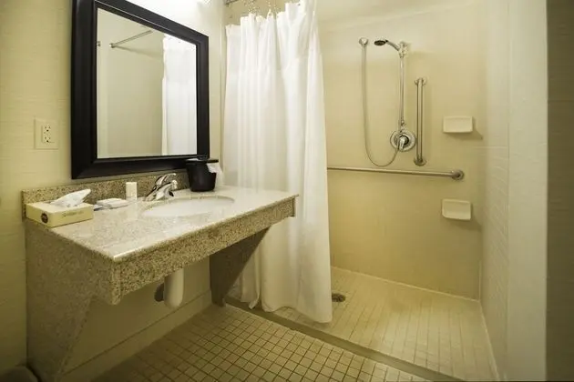 Oda, 1 En Büyük (King) Boy Yatak (Mobility Accessible, Roll-In Shower)