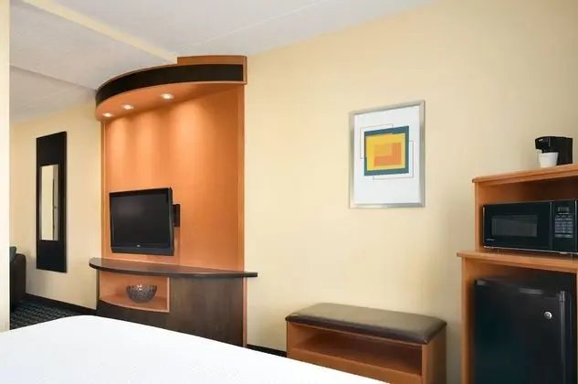 Executive Süit, 1 En Büyük (King) Boy Yatak ve Çekyat (Hearing Accessible)