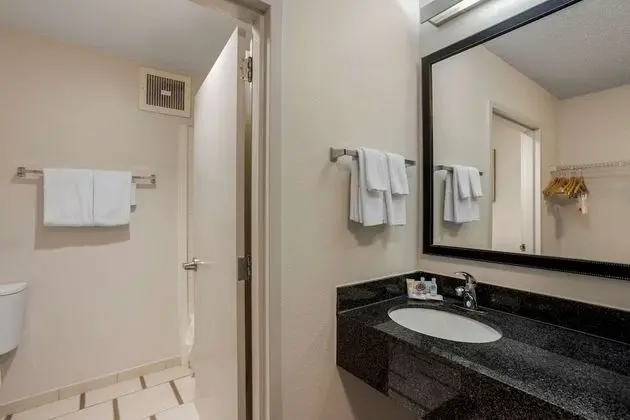 Oda, 1 En Büyük (King) Boy Yatak, Engellilere Uygun, Sigara İçilmez (Roll-In Shower)