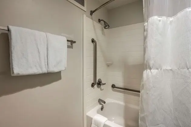 Oda, 1 En Büyük (King) Boy Yatak, Engellilere Uygun, Sigara İçilmez (Roll-In Shower)