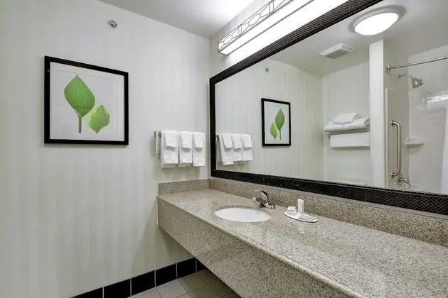 Stüdyo, 1 En Büyük (King) Boy Yatak ve Çekyat (Mobility/Hearing Accessible, Tub)