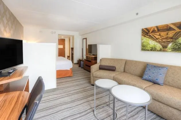 Oda, 1 En Büyük (King) Boy Yatak ve Çekyat (Mobility Accessible, Tub)