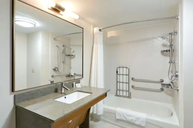 Executive Stüdyo, 1 En Büyük (King) Boy Yatak ve Çekyat (Mobility Accessible, Roll-In Shower)