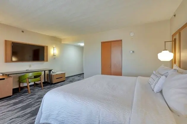 Executive Stüdyo, 1 En Büyük (King) Boy Yatak ve Çekyat (Mobility Accessible, Roll-In Shower)