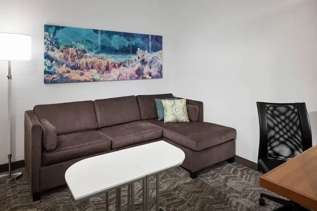 Stüdyo, 1 En Büyük (King) Boy Yatak ve Çekyat (Hearing Accessible)