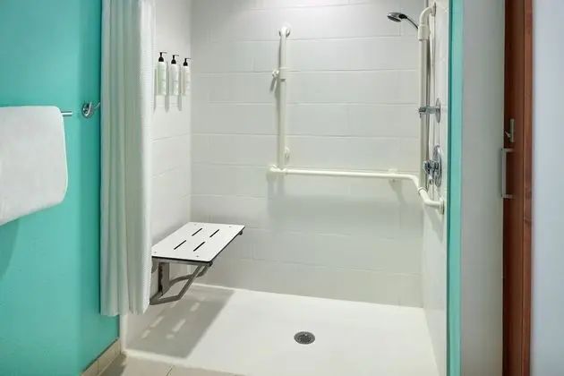 Stüdyo, 1 En Büyük (King) Boy Yatak ve Çekyat (Mobility Accessible, Roll-In Shower)