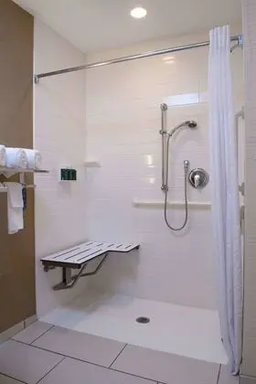 Executive Süit, 1 Yatak Odası, Manzarasız (Mobility Accessible, Tub)