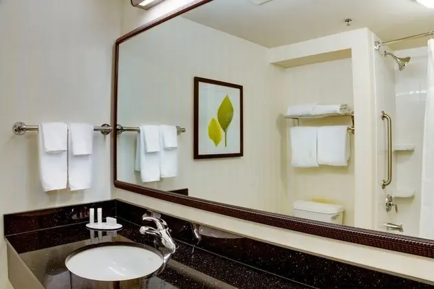 Stüdyo, 1 En Büyük (King) Boy Yatak ve Çekyat (Mobility/Hearing Accessible, Tub)