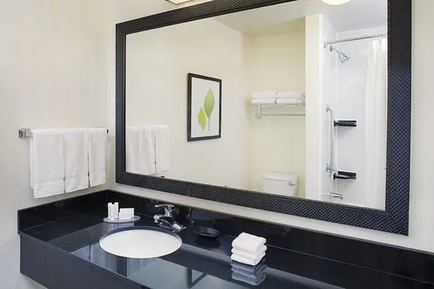 Stüdyo, 1 En Büyük (King) Boy Yatak ve Çekyat (Mobility Accessible, Roll-In Shower)