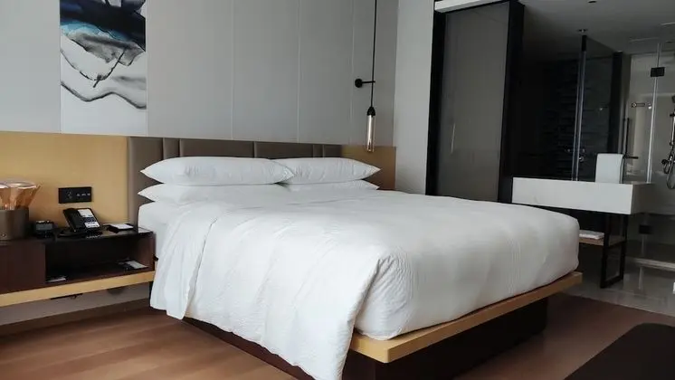 Deluxe Oda, 1 En Büyük (King) Boy Yatak, Balkon, Şehir Manzaralı