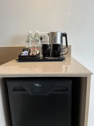 Premium Oda, 2 Tek Kişilik Yatak, Sigara İçilmez, Şehir Manzaralı