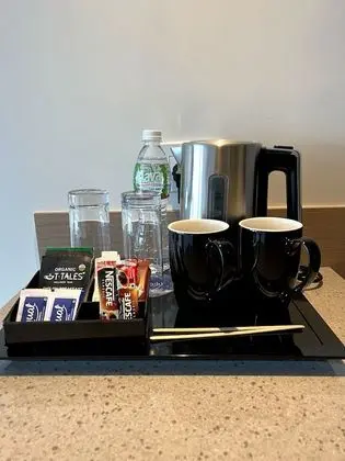 Superior Oda, 1 En Büyük (King) Boy Yatak ve Çekyat, Sigara İçilmez, Şehir Manzaralı