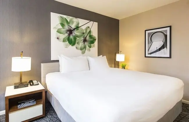 Oda, 1 En Büyük (King) Boy Yatak, Danışma, Şehir Manzaralı (Fairmont Gold King)