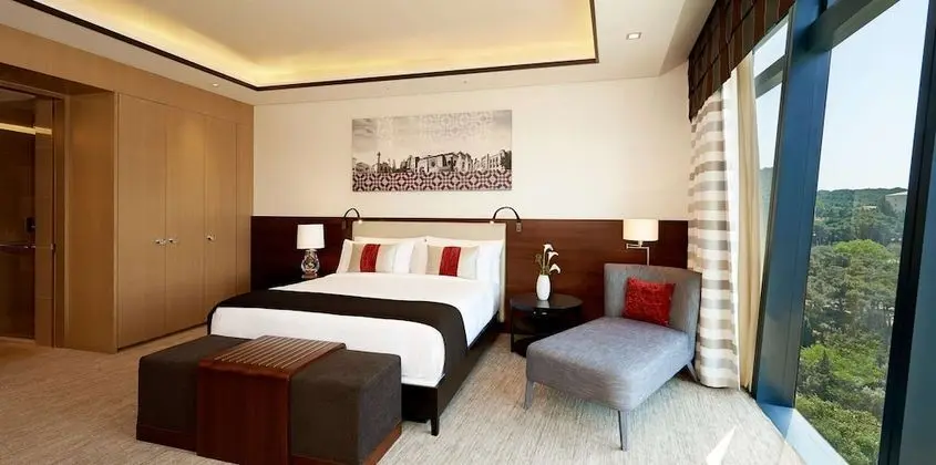 Deluxe Oda, 1 Çift Kişilik Yatak, Şehir Manzaralı