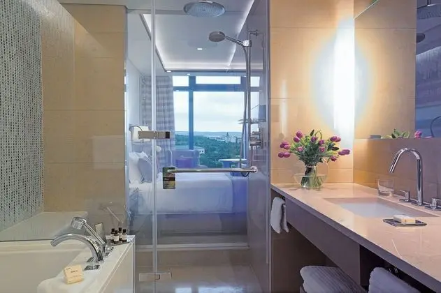 Deluxe Oda, 1 Çift Kişilik Yatak, Şehir Manzaralı