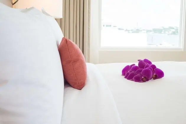 Çatı Katı Süiti (Penthouse), 1 En Büyük (King) Boy Yatak