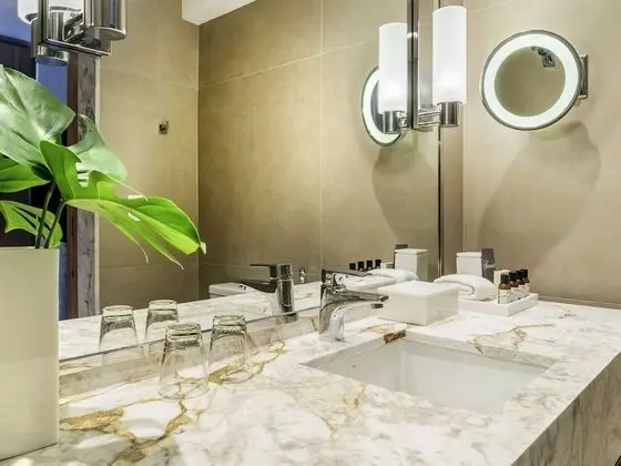 Deluxe Oda, 2 Tek Kişilik Yatak, Şehir Manzaralı