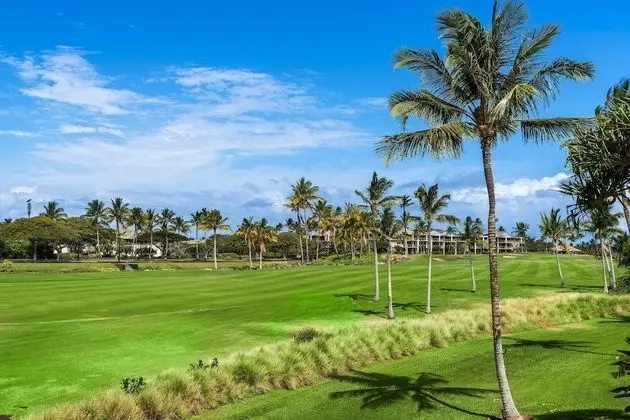Villa, 1 En Büyük (King) Boy Yatak ve Çekyat (Fairway Villas Waikoloa J21)