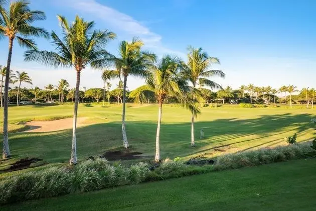 Villa, 1 En Büyük (King) Boy Yatak ve Çekyat (Fairway Villas Waikoloa J21)