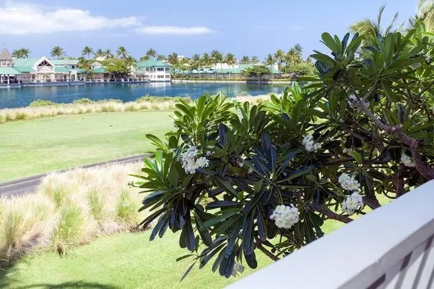 Daire, 1 En Büyük (King) Boy Yatak (Fairway Villas Waikoloa O21)
