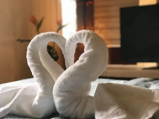 Basic Tek Büyük Yataklı Oda, Ortak Banyo