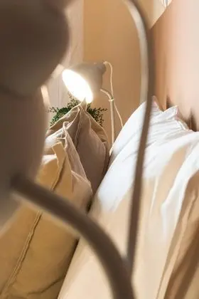 Ev
