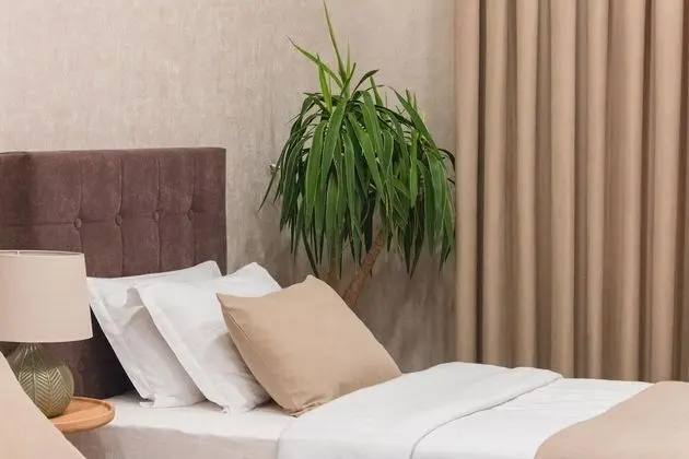 Design Tek Büyük veya İki Ayrı Yataklı Oda