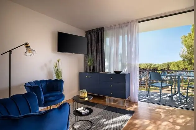 Deluxe Tek Büyük Yataklı Oda, Balkon, Bahçe Manzaralı