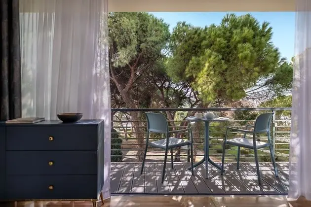 Superior Tek Büyük Yataklı Oda, Balkon, Bahçe Manzaralı