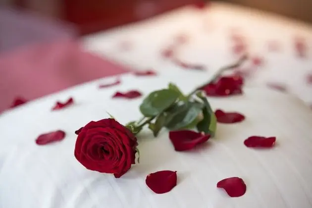 Superior Oda, Park Manzaralı