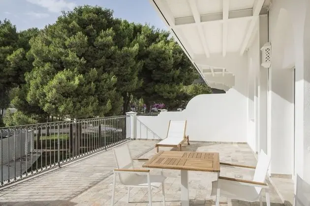 Junior Süit, Balkon, Park Manzaralı